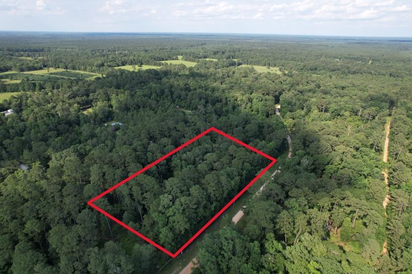 1.15 Acres for Sale in Big Thicket Lake Estates, Texas