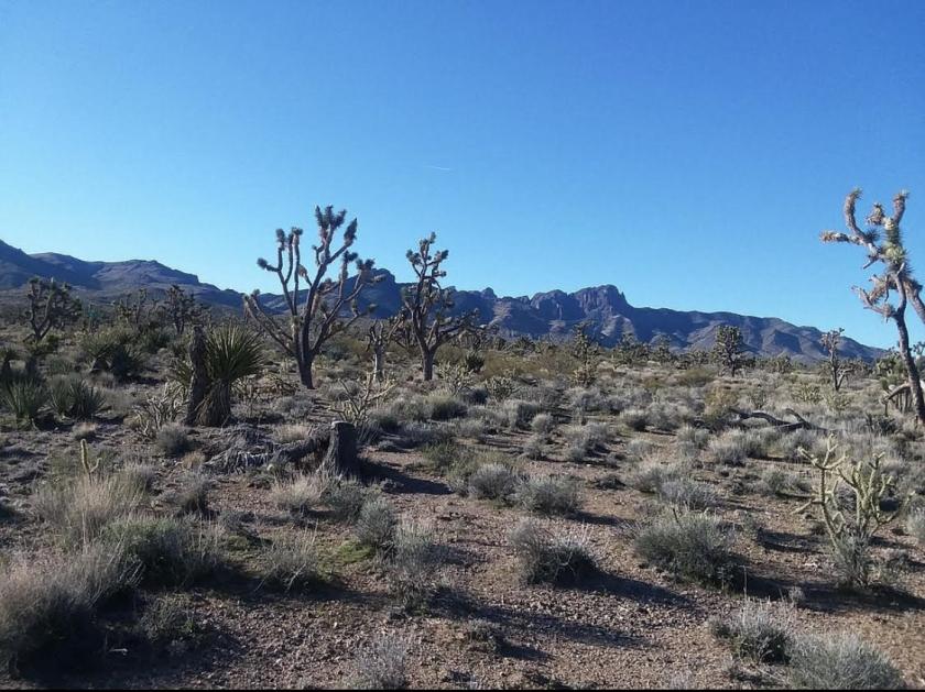 1.07 Acres for Sale in Dolan Springs, Arizona