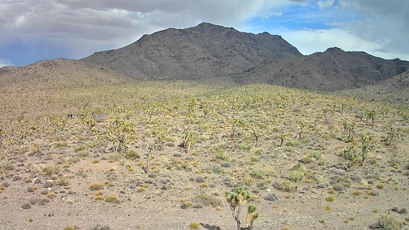 1.07 Acres for Sale in Dolan Springs, Arizona