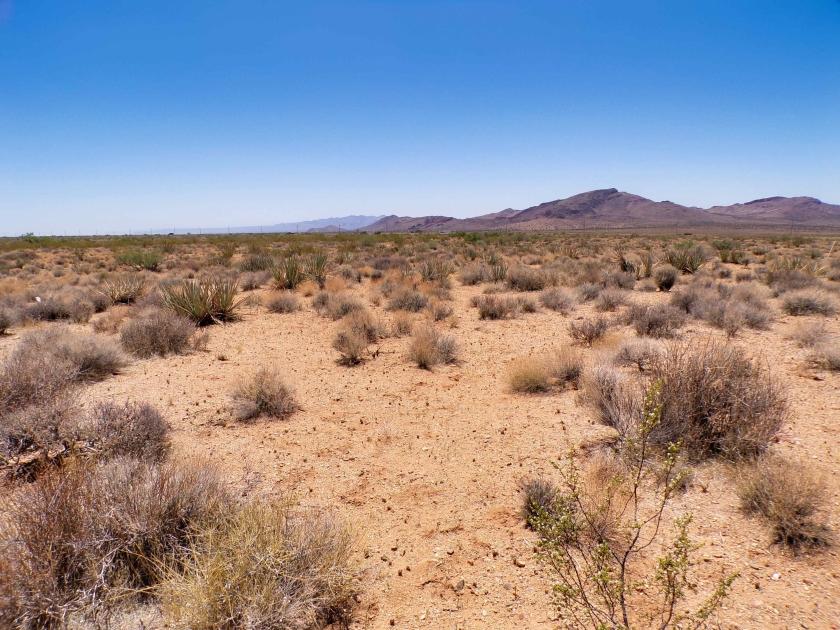 1 Acres for Sale in Golden Valley, Arizona