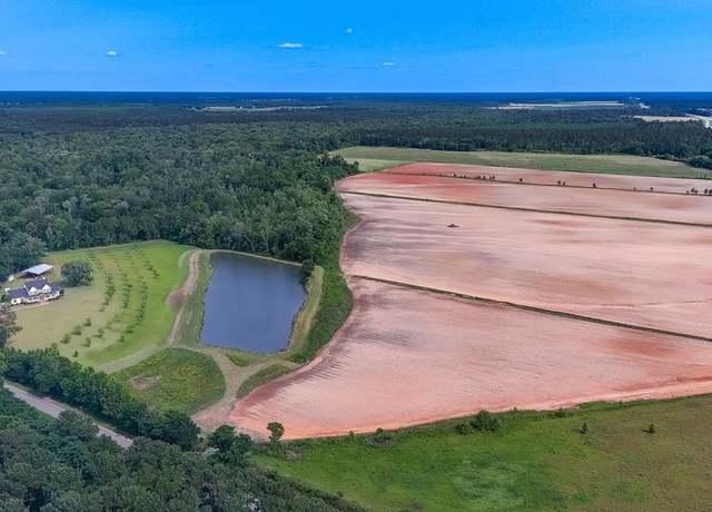 1.5 Acres for Sale in Colquitt, Georgia