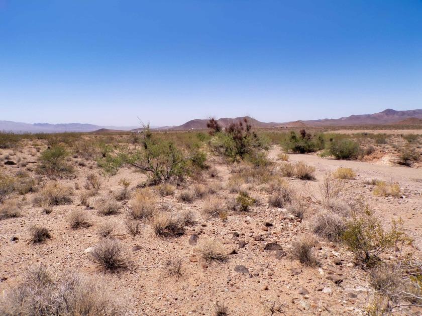 1.07 Acres for Sale in Dolan Springs, Arizona