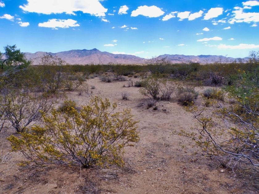 1 Acres for Sale in Golden Valley, Arizona