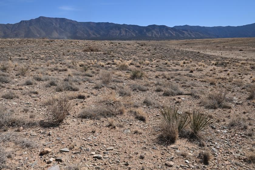 0.25 Acres for Sale in Los Lunas, new mexico