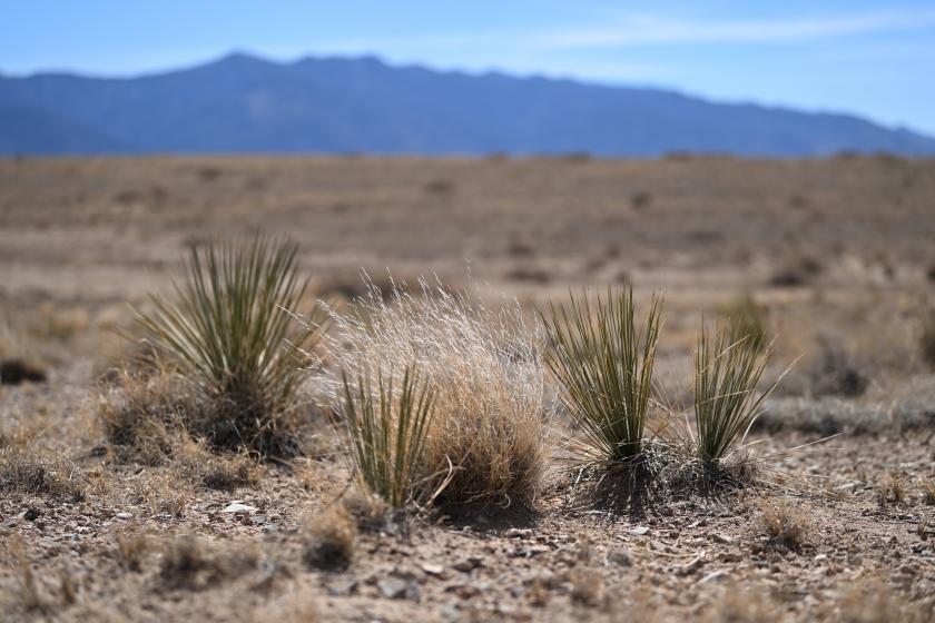 0.25 Acres for Sale in Los Lunas, New Mexico