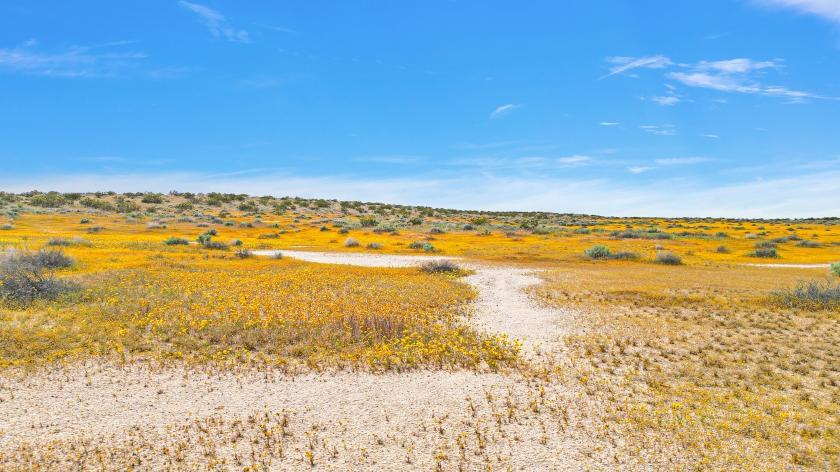30 Acres for Sale in Hinkley, California