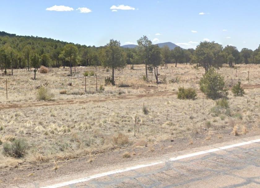 1.39 Acres for Sale in Show Low, Arizona