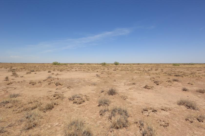 0.5 Acres for Sale in Deming, New Mexico