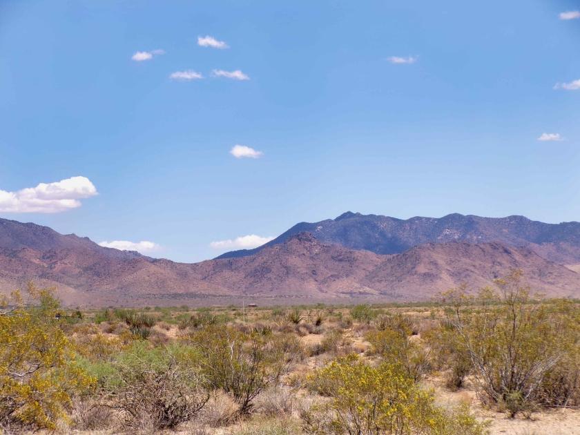 1 Acres for Sale in Golden Valley, Arizona