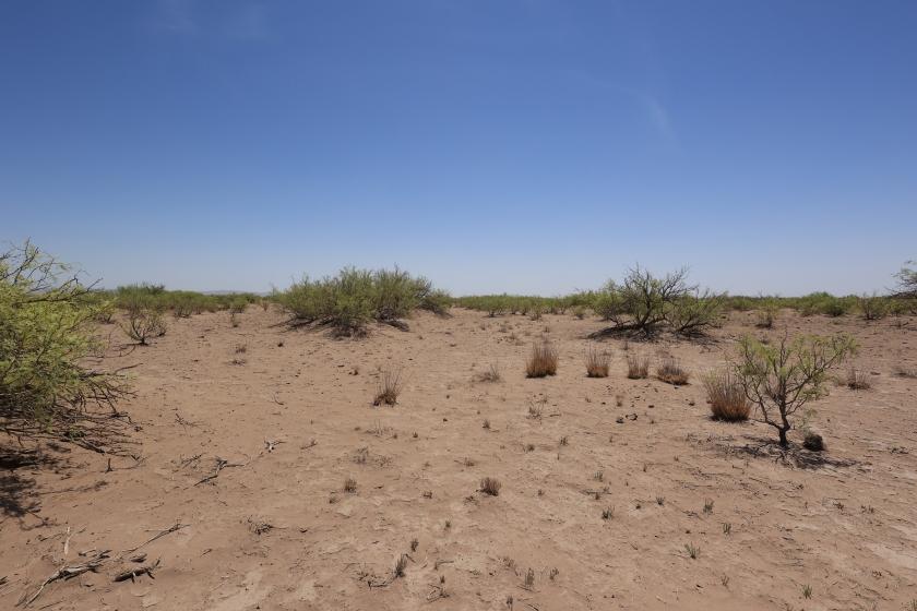 0.5 Acres for Sale in Ventura, New Mexico