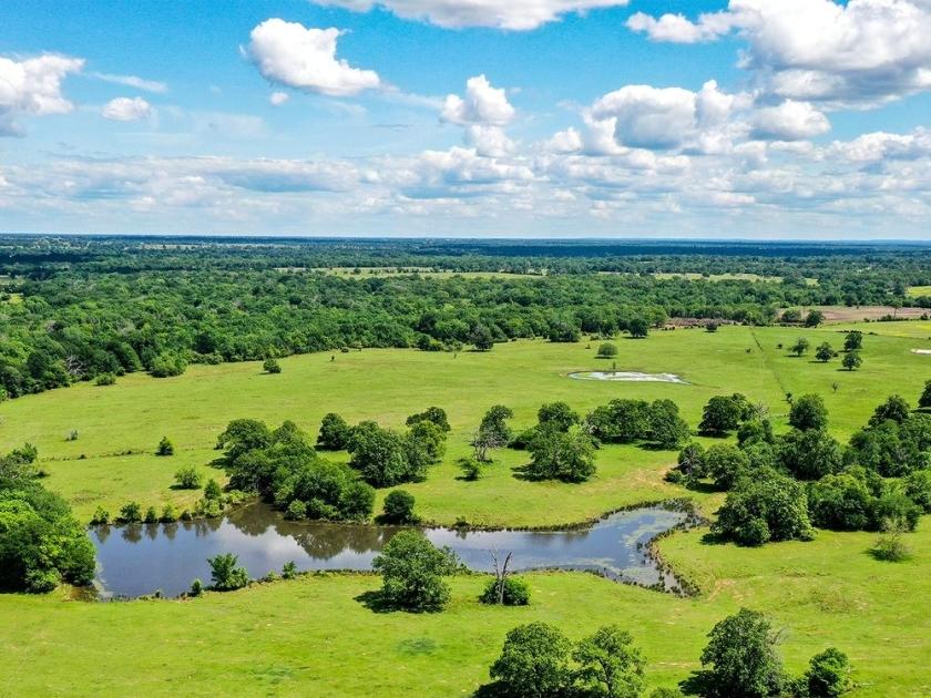 0.23 Acres for Sale in Normangee, Texas
