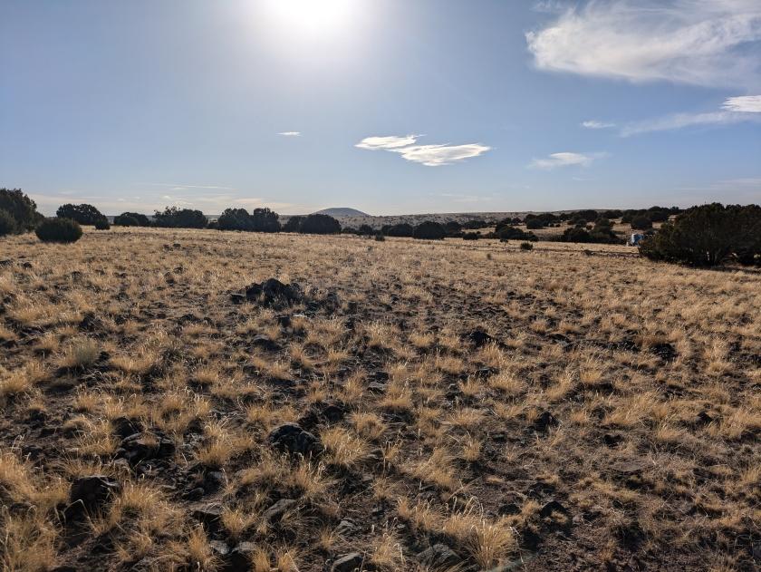 1.07 Acres for Sale in Concho, Arizona