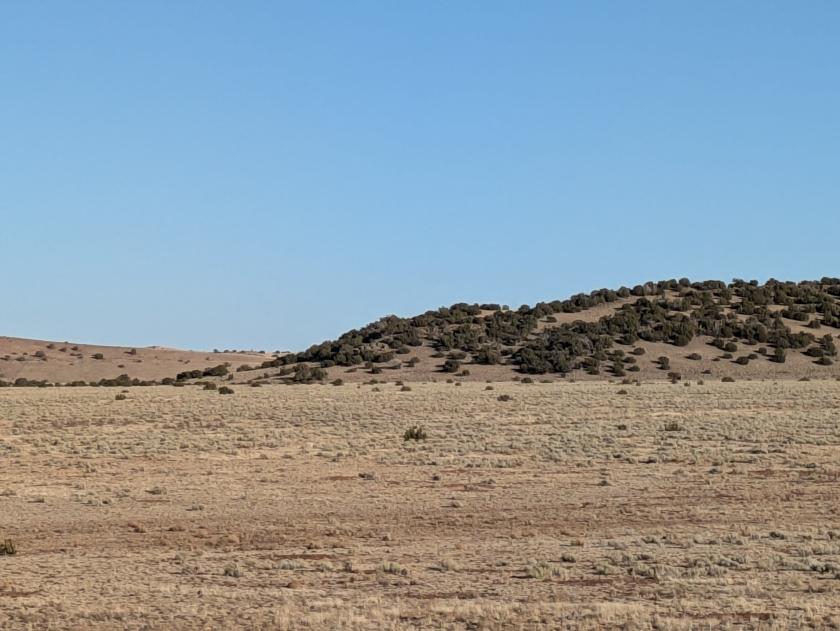 1.01 Acres for Sale in Concho, Arizona