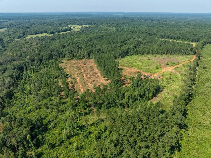 1 Acres for Sale in Chireno, Texas
