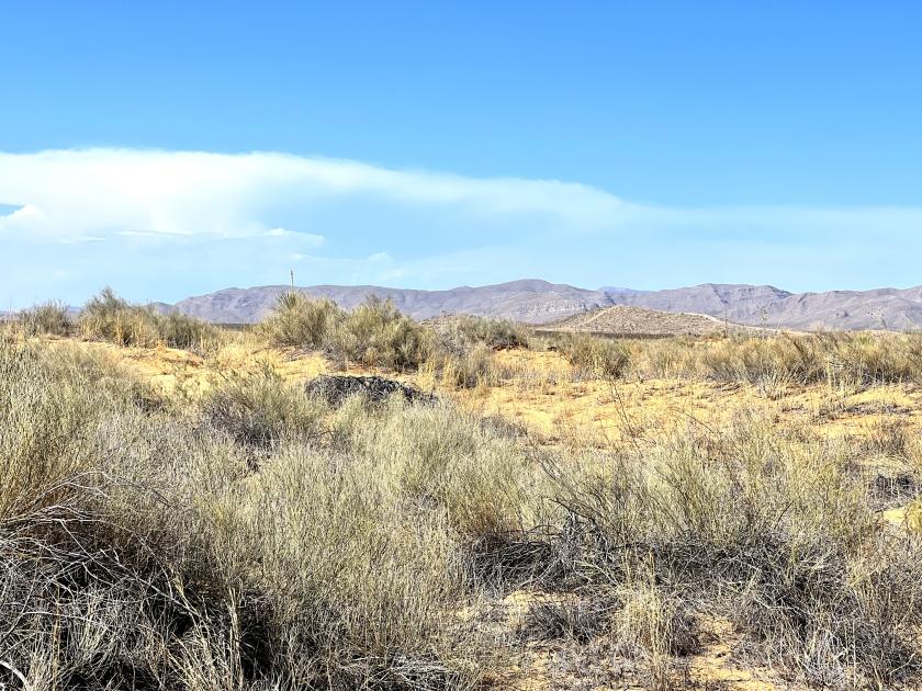 1 Acres for Sale in Agua Dulce, Texas