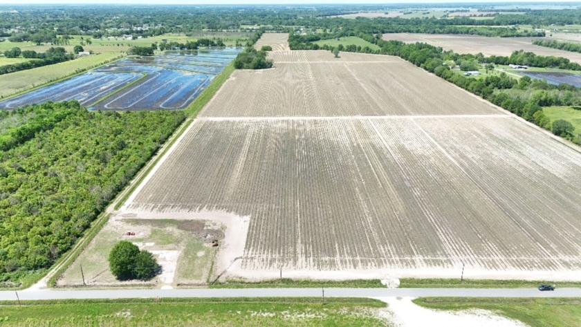 35.73 Acres for Sale in Church Point, Louisiana