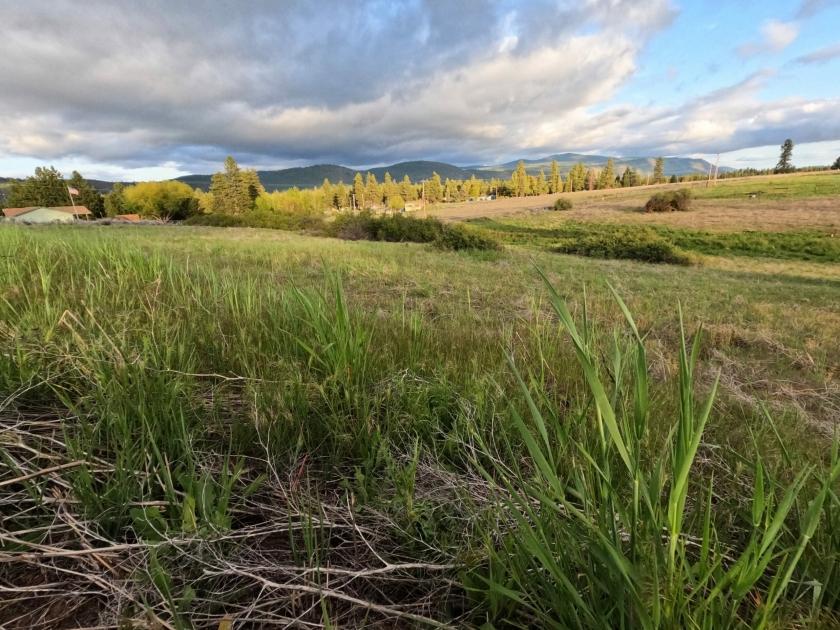 0.63 Acres for Sale in Chiloquin, Oregon