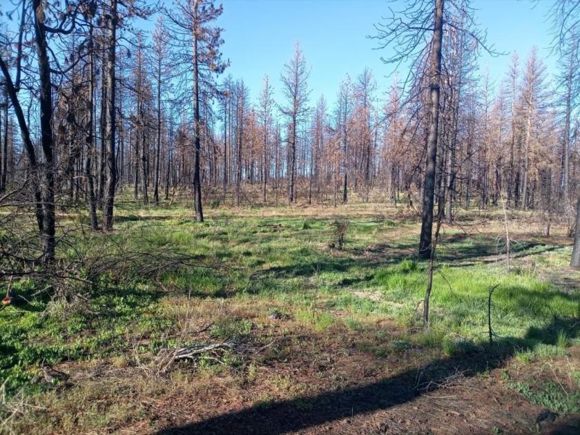 2.24 Acres for Sale in Bonanza, Oregon