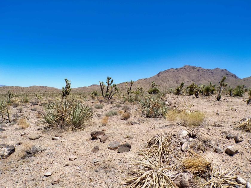 1.07 Acres for Sale in Dolan Springs, Arizona