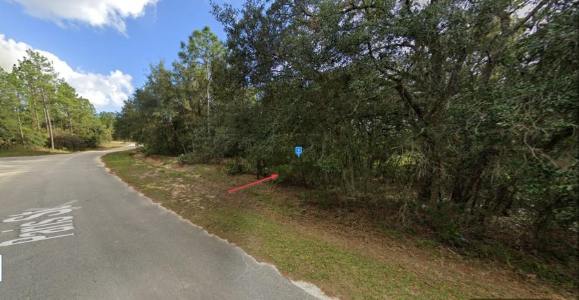 0.28 Acres for Sale in Interlachen, Florida