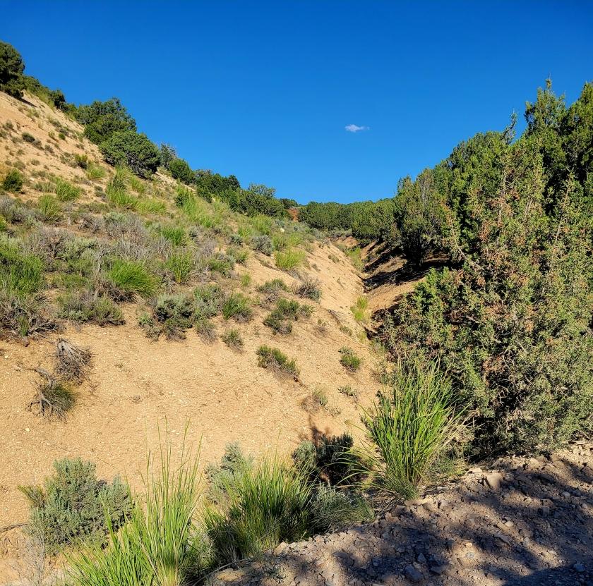1.03 Acres for Sale in Elko, Nevada