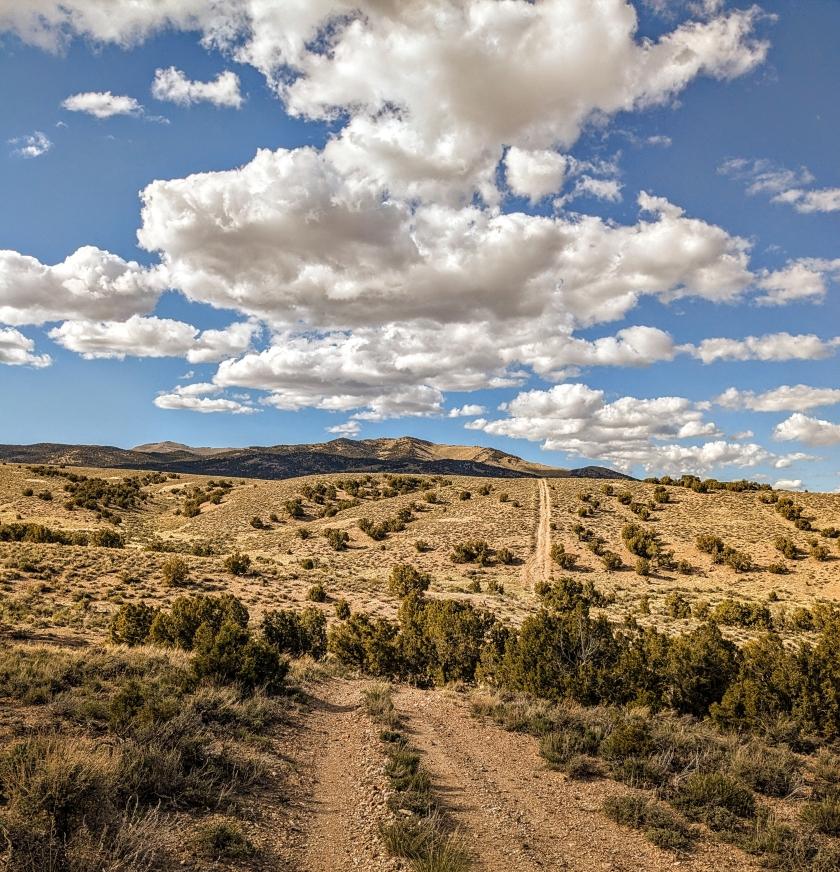40 Acres for Sale in Montello, Nevada