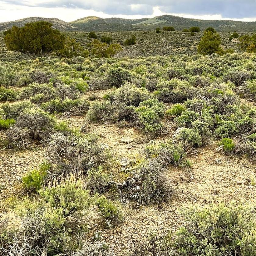 10 Acres for Sale in Montello, Nevada