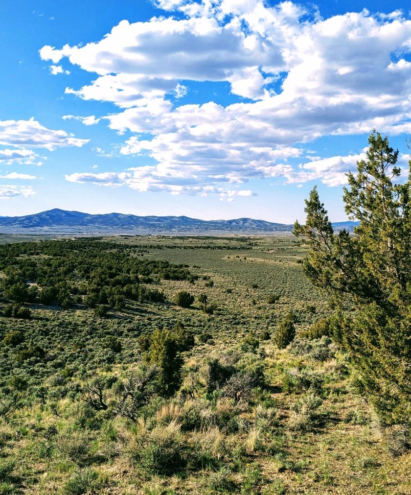 10 Acres for Sale in Montello, Nevada