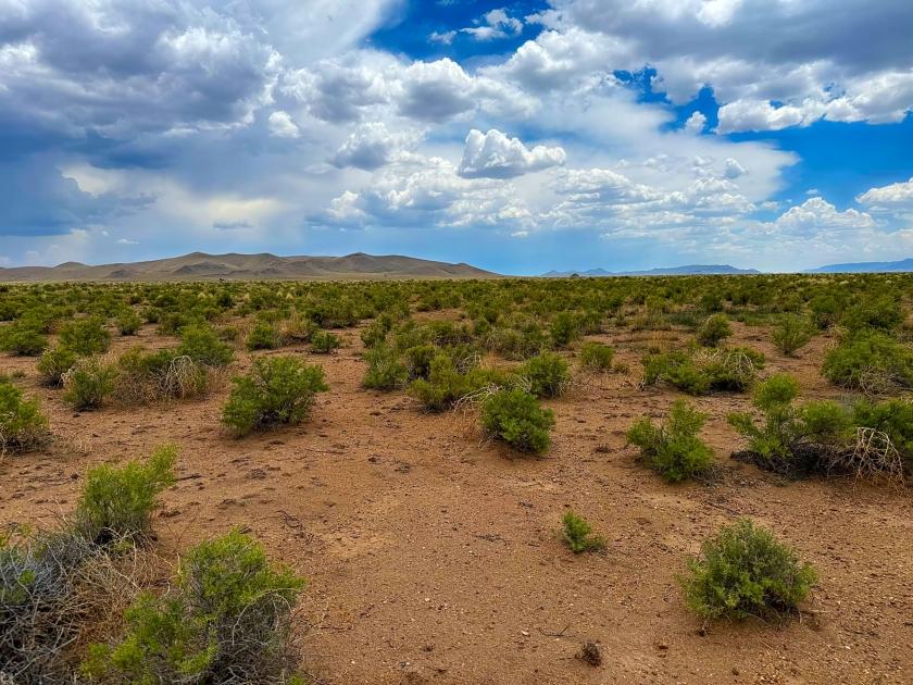 5.16 Acres for Sale in Blanca, Colorado