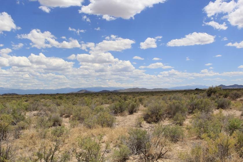 5 Acres for Sale in Blanca, Colorado