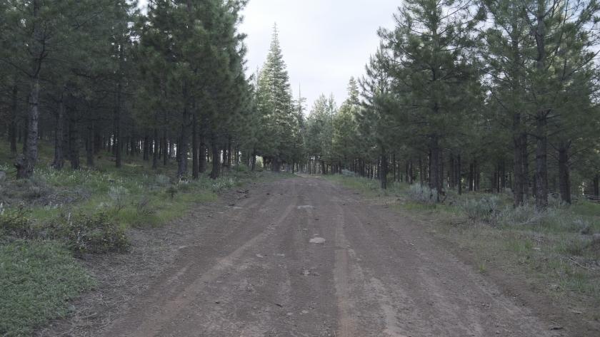 2.33 Acres for Sale in California Pines, California