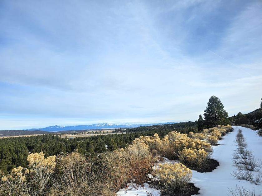 3.48 Acres for Sale in California Pines, California