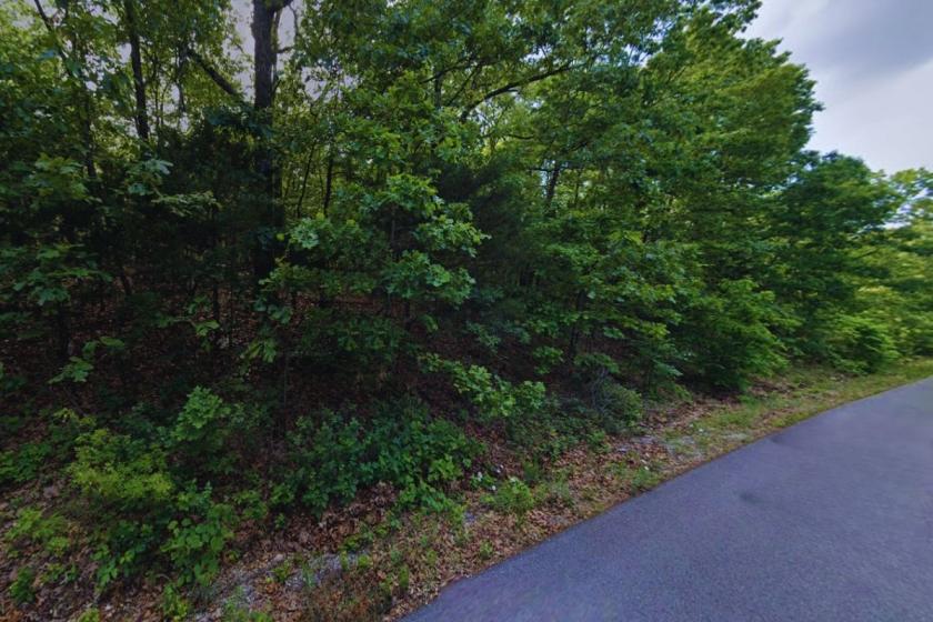 0.3 Acres for Sale in Horseshoe Bend, Arkansas