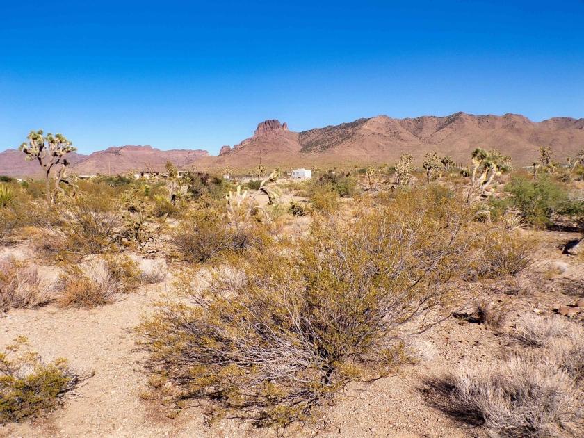 1.07 Acres for Sale in Dolan Springs, Arizona