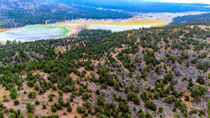 0.23 Acres for Sale in Big Bear, California