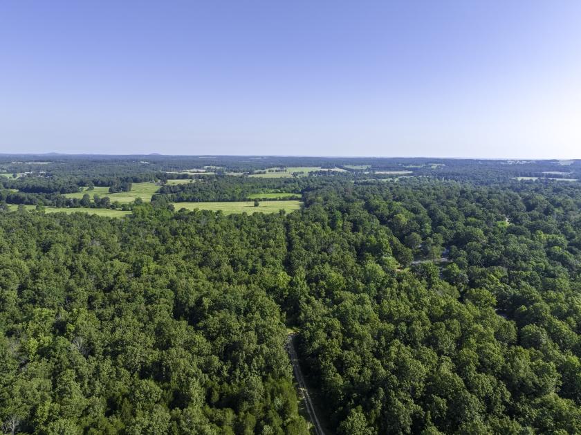 0.21 Acres for Sale in Horseshoe Bend, Arkansas