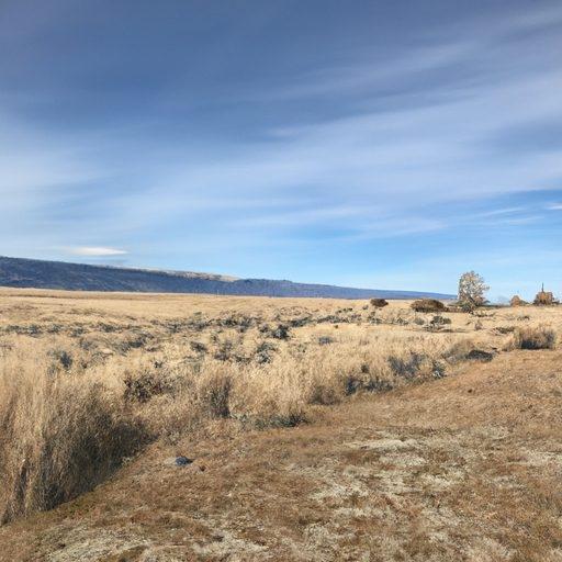 18.4 Acres for Sale in Montello, Nevada