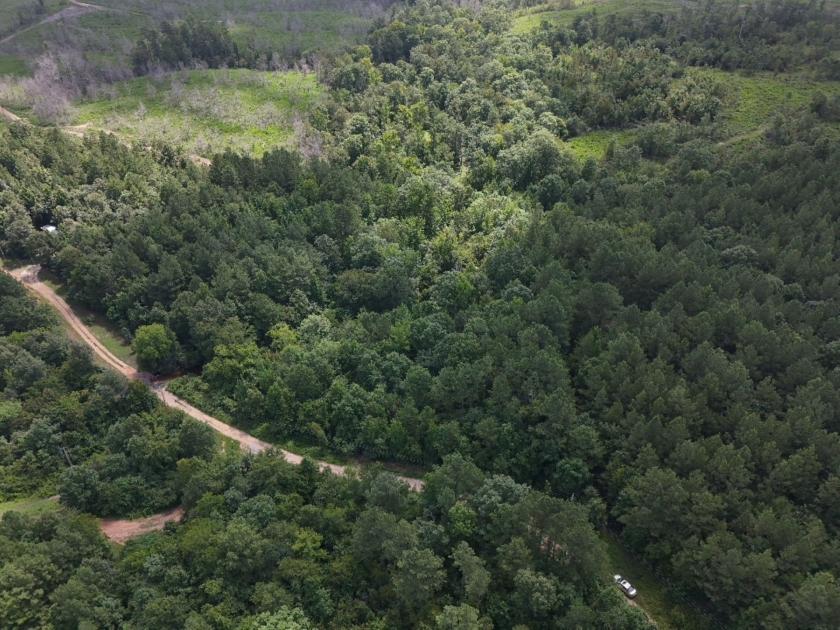 5 Acres for Sale in Amity, Arkansas