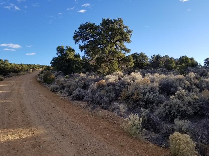 2.53 Acres for Sale in San Acacio, Colorado