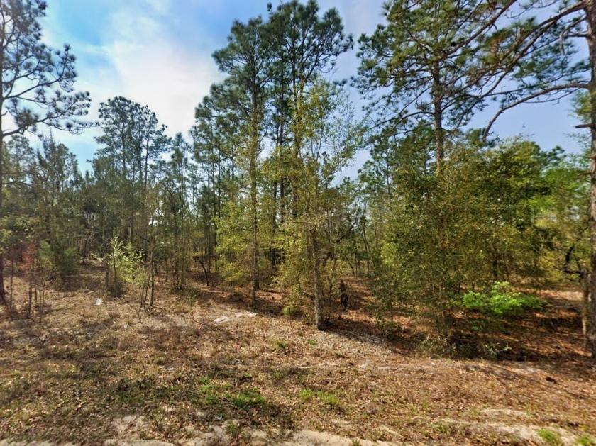 0.4 Acres for Sale in Interlachen, Florida