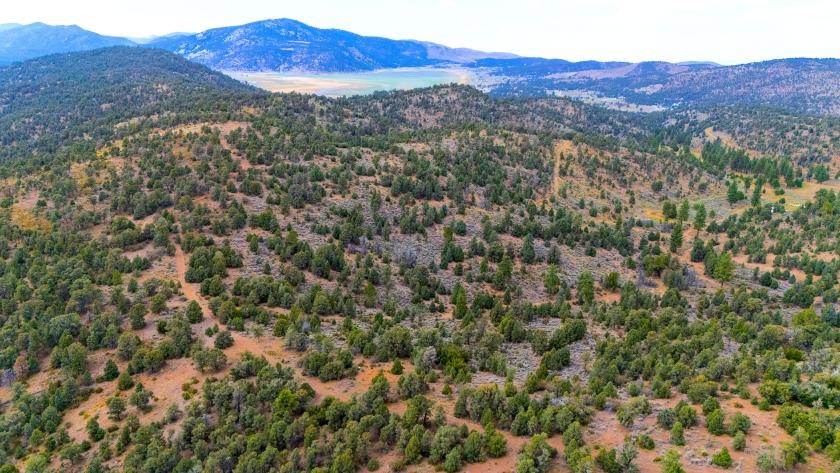 0.06 Acres for Sale in Big Bear, California