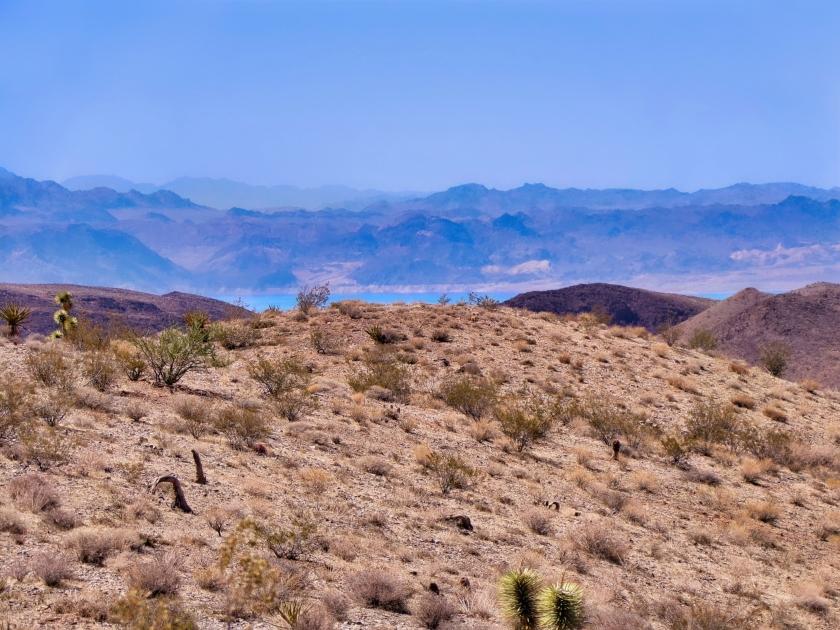 6.79 Acres for Sale in White Hills, Arizona