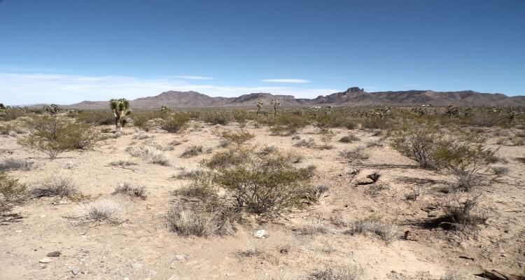1.00 Acres for Sale in Dolan Springs, Arizona