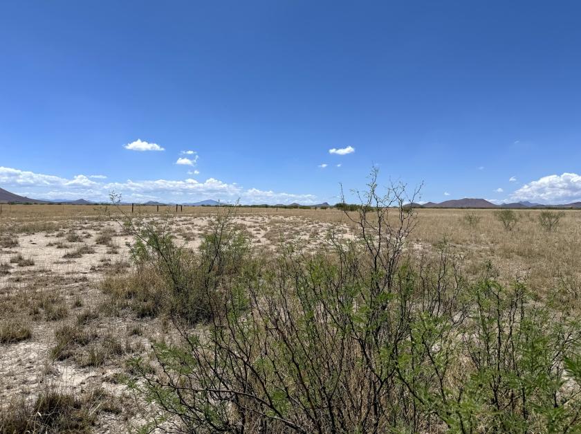 1.7 Acres for Sale in Sunsites, Arizona