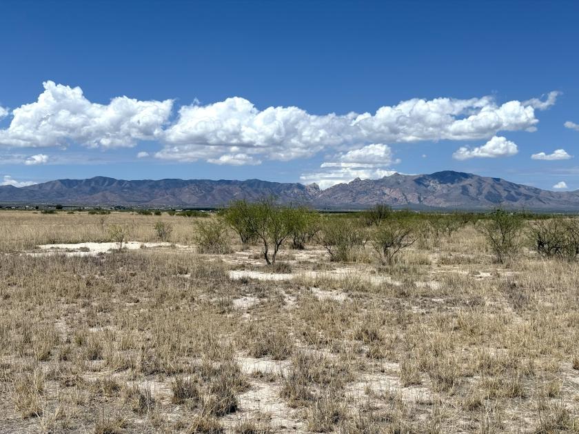 1.7 Acres for Sale in Sunsites, Arizona