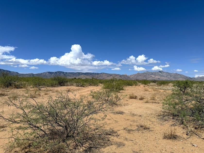 1.66 Acres for Sale in Sunsites, Arizona