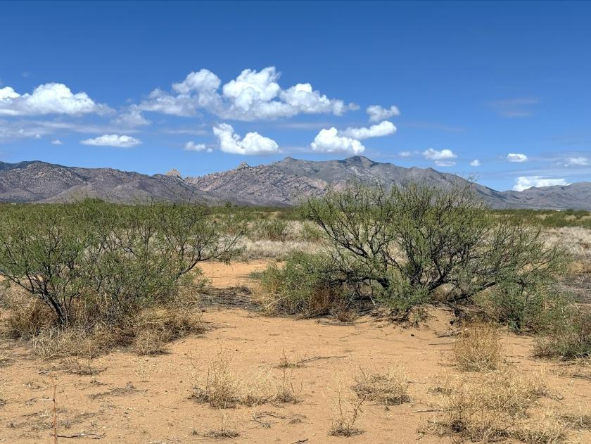 1.66 Acres for Sale in Sunsites, Arizona