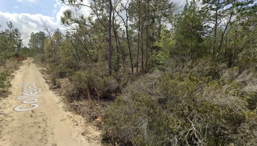 0.81 Acres for Sale in Interlachen, Florida