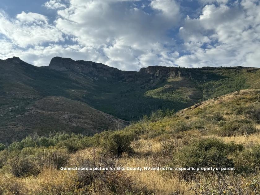 1.03 Acres for Sale in Spring Creek, Nevada