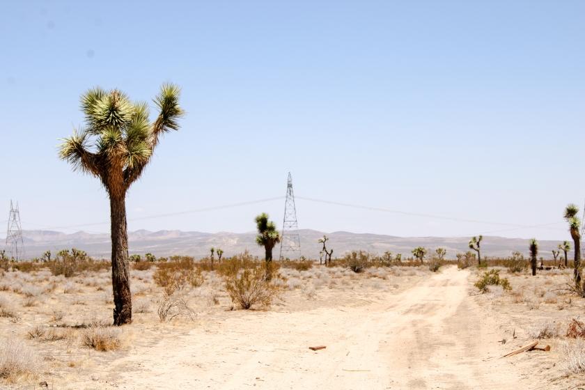 16.37 Acres for Sale in Phelan, California